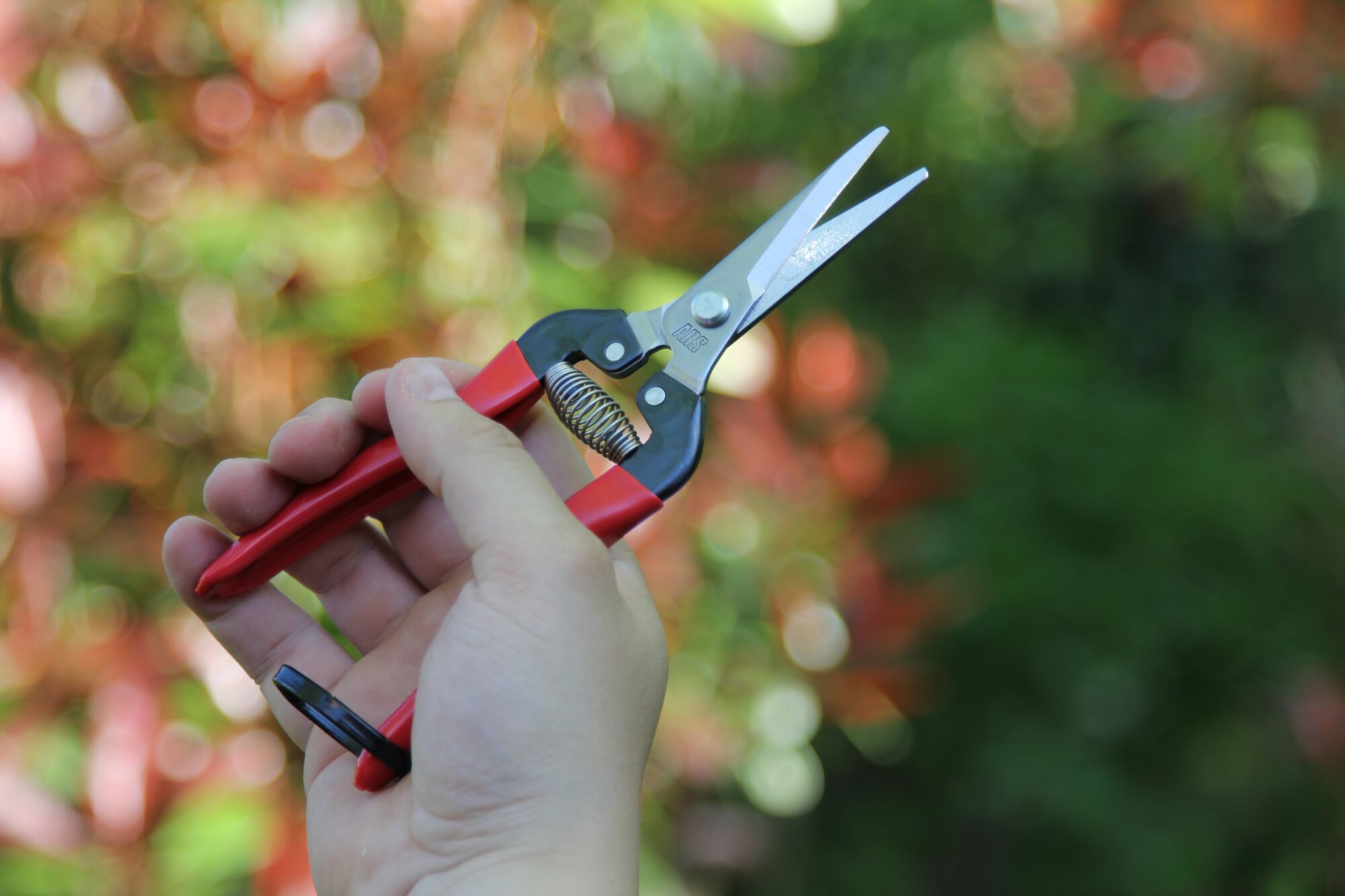 Ars Fruit Pruners 300L