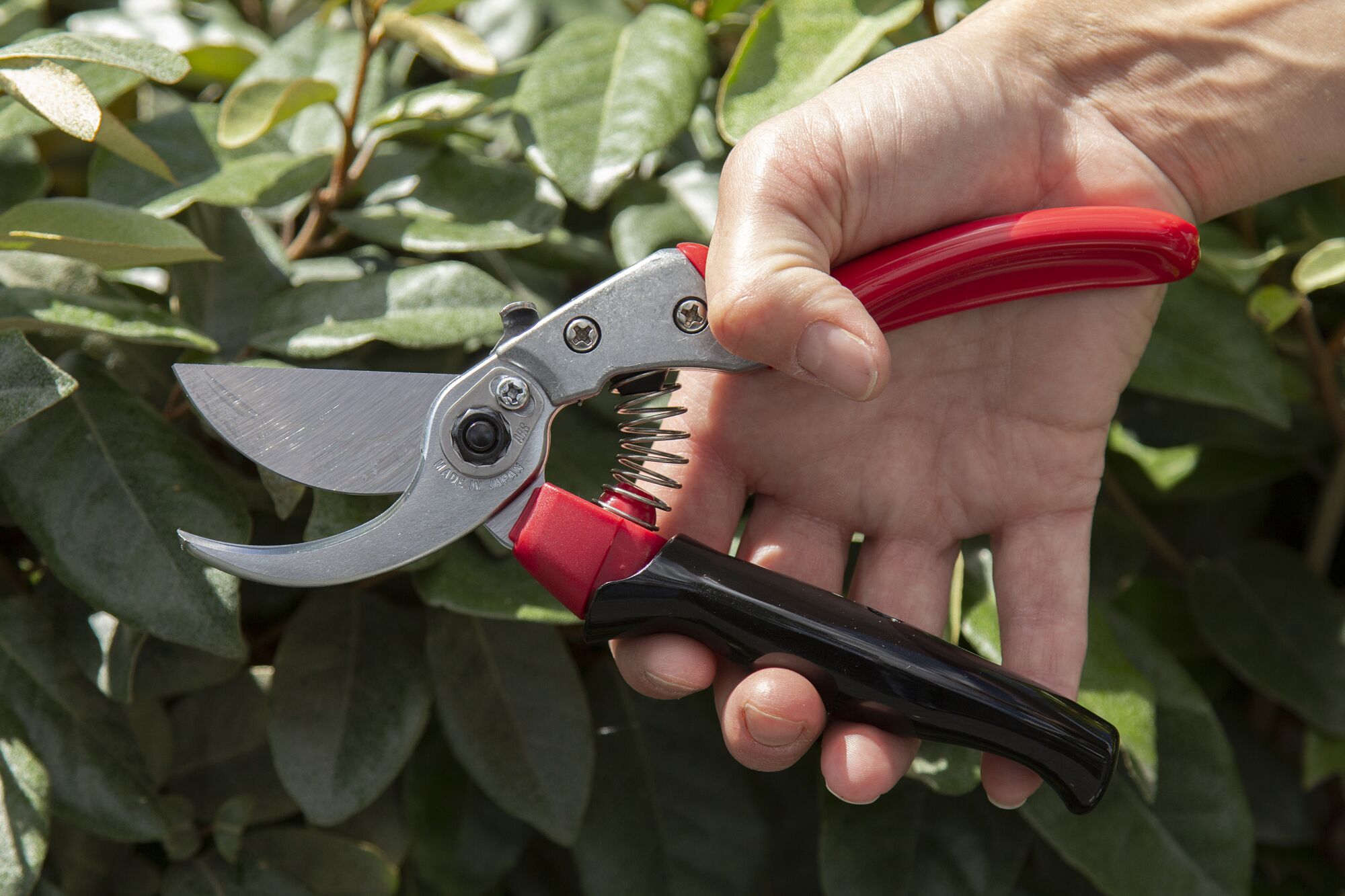 ARS Pruning shears with rotating grip 178 mm Pruning shears