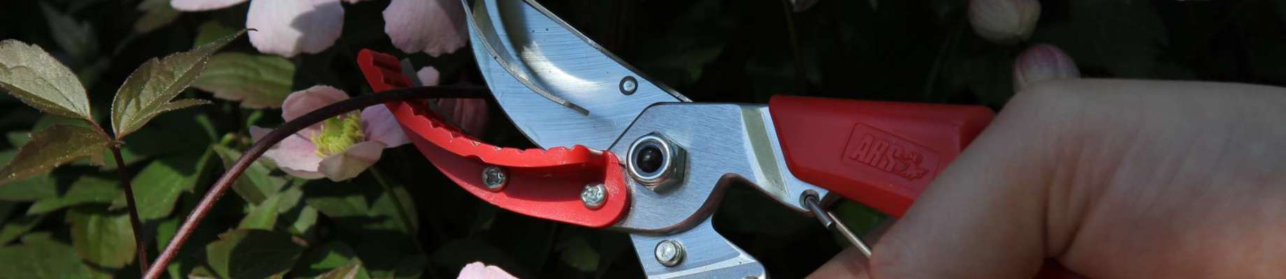 15mm from Japan NEW Ars Pruning Shears VS-8Z Fresh wood cutting capacity approx 