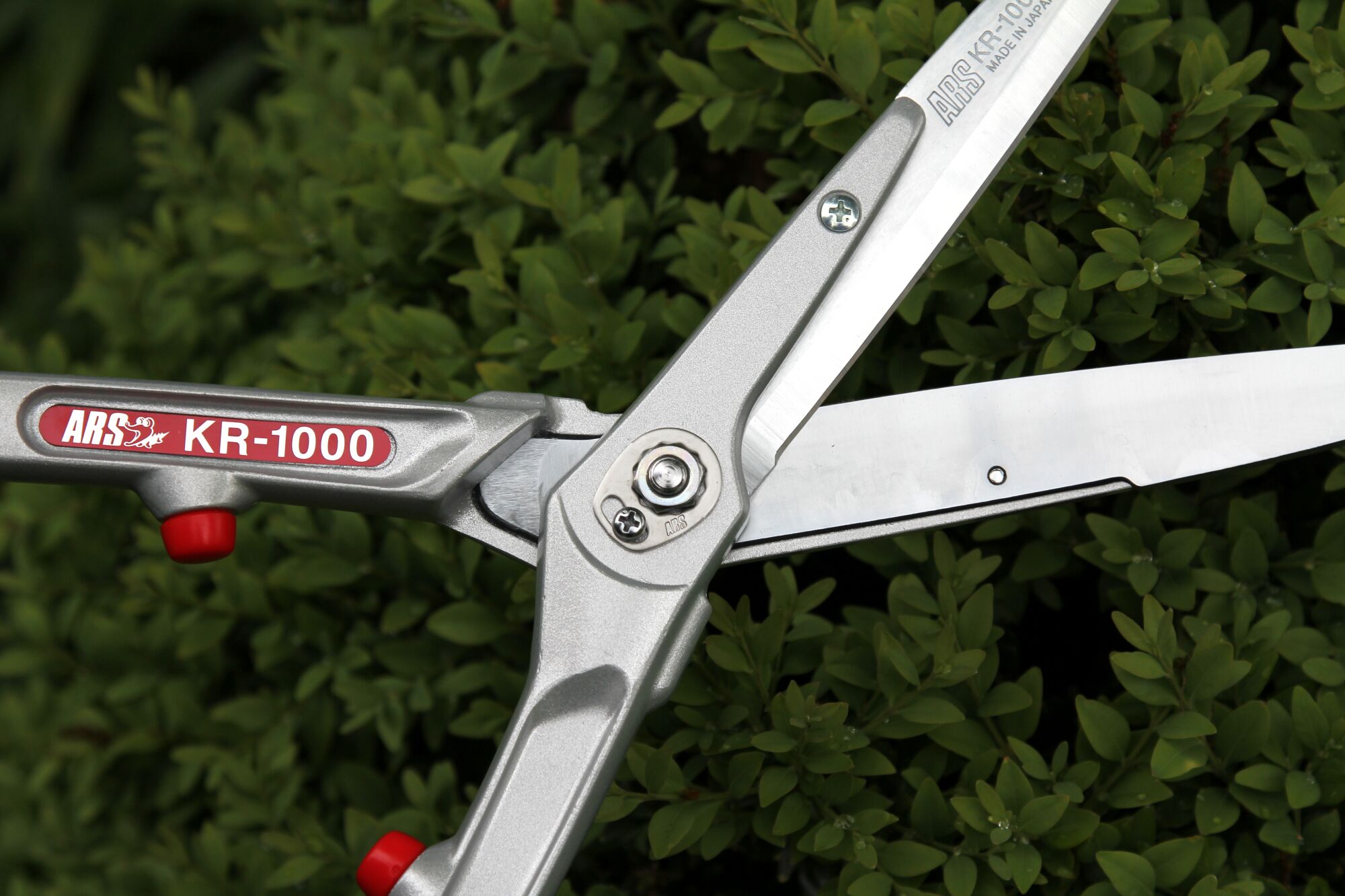Ars Corporation Replaceable Blades Light Weight Gardening Shears KR-1000 