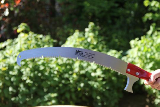 Telescopic pruning saws