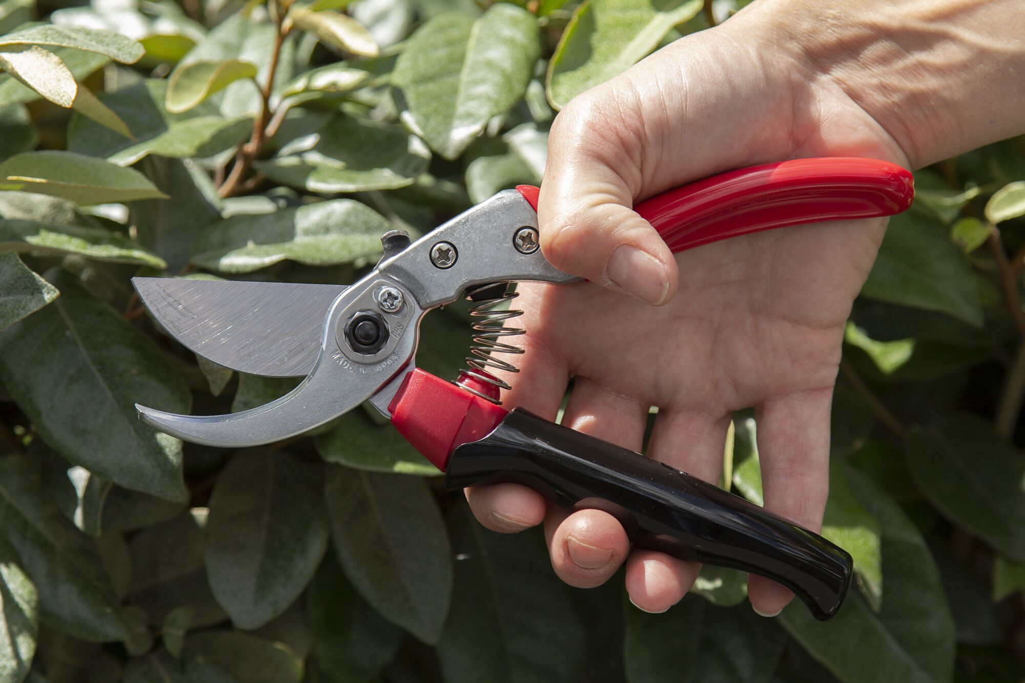 ARSVS-9XR – Pruning shears with rotating grip | 227 mm – ARS